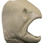 Male Steelhead Trout Head Form