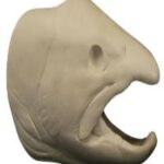 Male Steelhead Trout Head Form