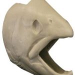 Male Steelhead Trout Head Form