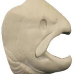 Male Steelhead Trout Head Form