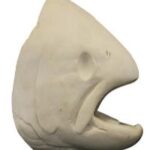 Male Steelhead Trout Head Form