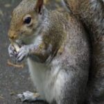Photos on Disk