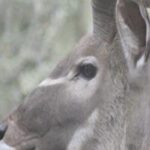 Photos on Disk