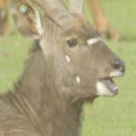 Photos on Disk