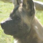 Photos on Disk