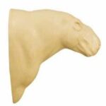Capybara