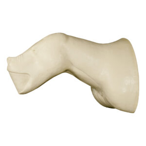 Grizzly Bear Wall Mount
