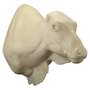 Brahma Bull Wall Mount 14 1/4" x 23" x 42"