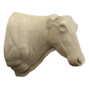 Longhorn Steer Wall Mount - 14 1/4" x 23" x 42"