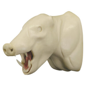 Peccary Wall Mount Open Mouth 6 3/4" x 12" x 16 1/2"