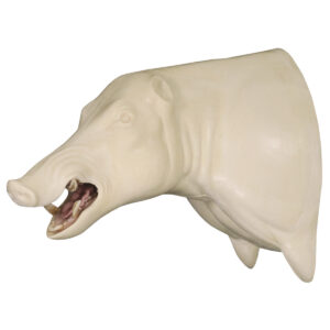 Frazier's Wild Boar with Open Mouth