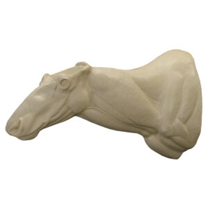 Caribou Straight Semi-Sneak Wall Mount