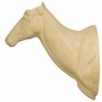 Nilgai