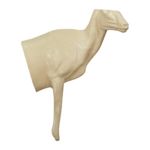 Dall Stone Sheep Half Size Looking Right