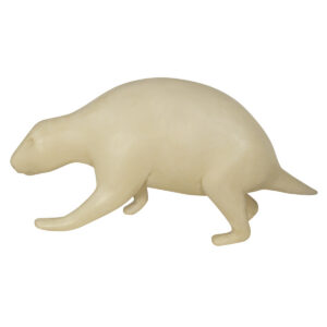 Porcupine Walking Head Straight