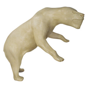 Grizzly Bear Standing On Hind Legs with Open Mouth