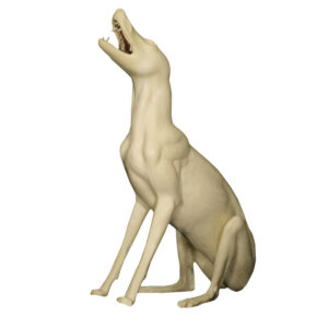 Coyote Sitting Howling