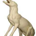 Coyote