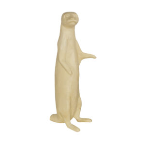 Otter Elevated Front Looking Left
