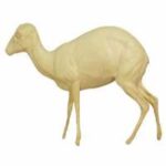 Suni