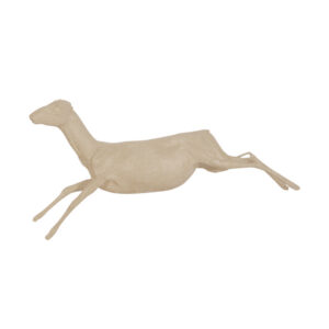 Grysbok Running Stride