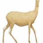 Impala