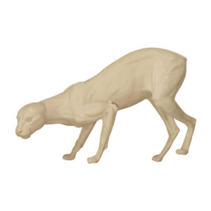 Caracal Cat Front Low