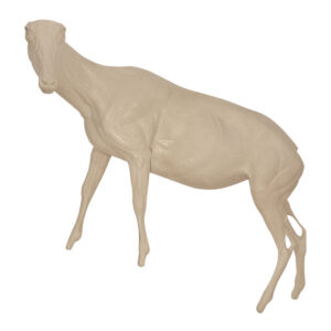 Tahr Walking Front High