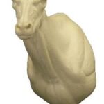 Tahr