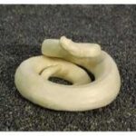 Reptiles