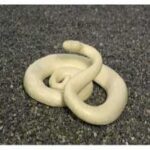 Reptiles