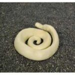 Reptiles