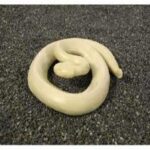 Reptiles