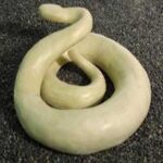 Reptiles