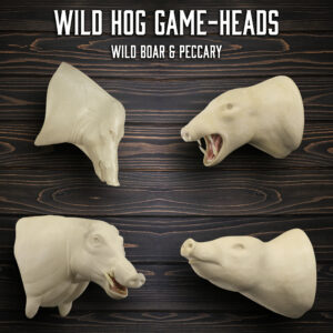 Wild Hog Game-Heads