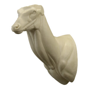 Rusa Deer Upright Wall Mount 7 1/4" x 13 3/4" x 21"