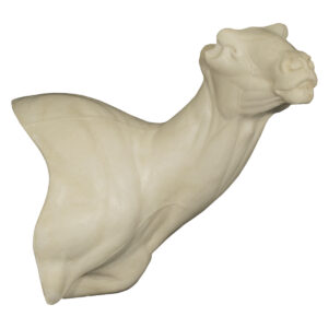 Head Rolled High Dall Sheep OM Pedestal 7 1/8" x 18 1/2"