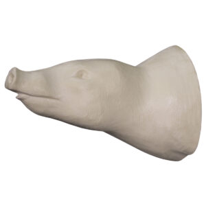 Frazier's Peccary Wall Mount Sniffling Head Slightly Raised