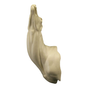 Frazier World Pedestal Whitetail Browser