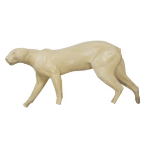 Cougar Walking Head Left