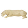 Cougar Crouched On Shelf - Thumbnail Image 2