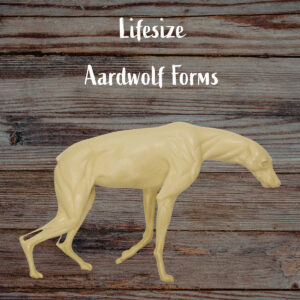 Aardwolf