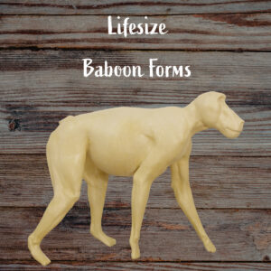 Baboon