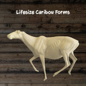 Caribou