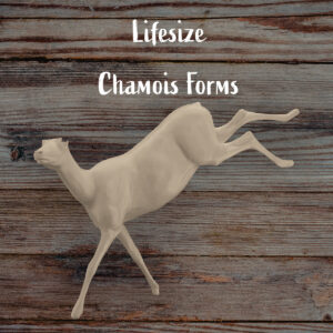 Chamois