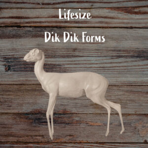Dik Dik
