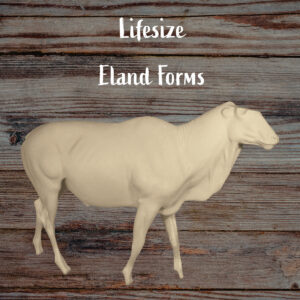Eland