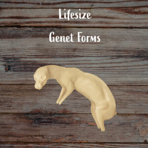Genet