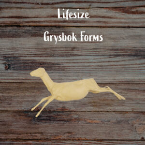 Grysbok