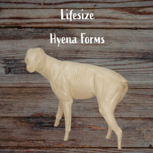 Hyena